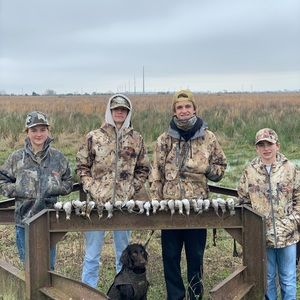 Meet your Posher, Jackson